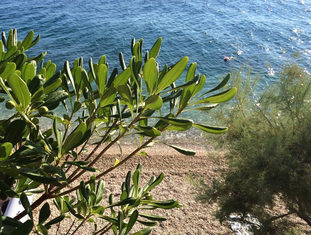 Holiday Home Mala Duba Живогоще Номер фото